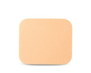 Foundation Sponge