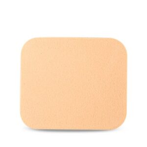 Foundation Sponge